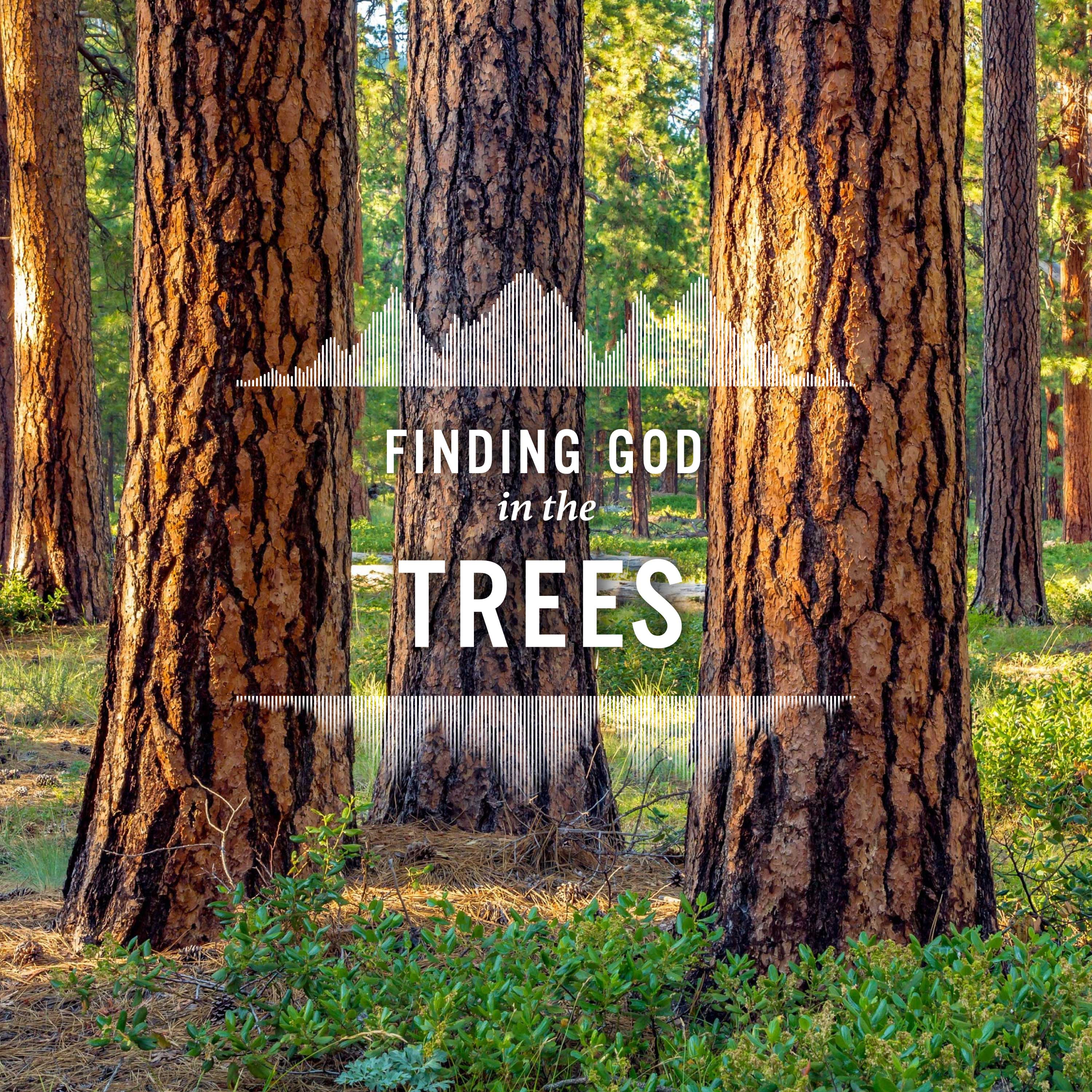 Finding God in the Trees episode artwork