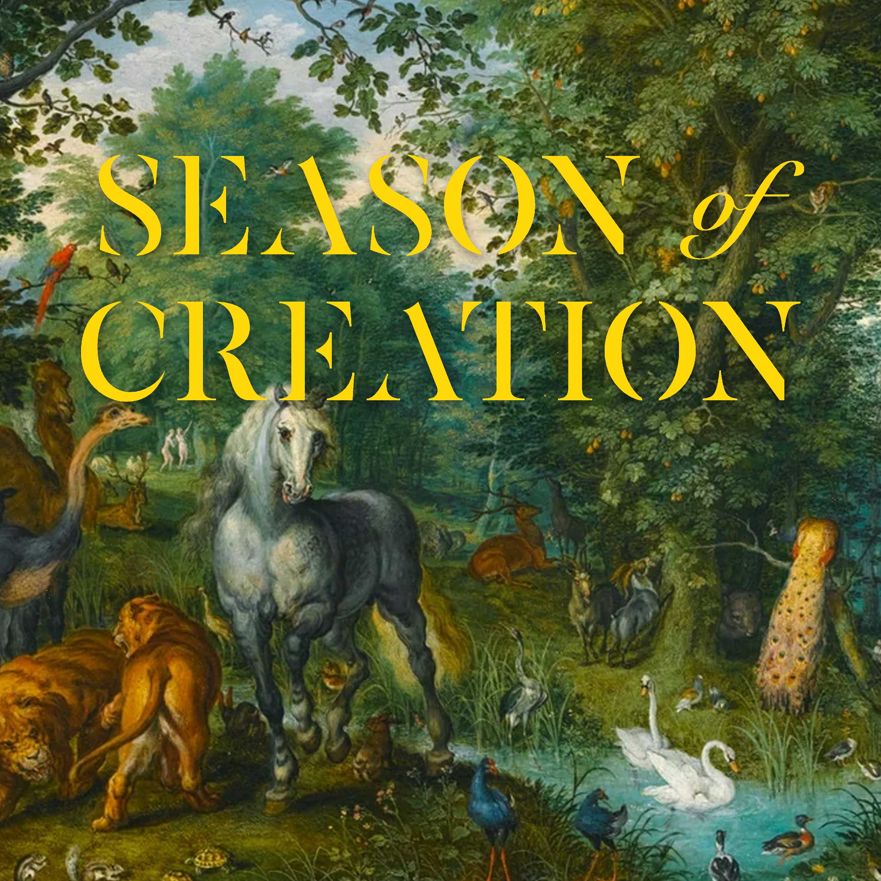 Continuing Creation episode artwork